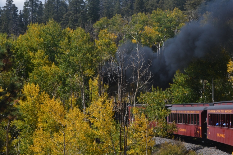 train through autumn colors